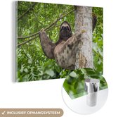MuchoWow® Glasschilderij 60x40 cm - Schilderij acrylglas - Een luiaard klimt in een boom in een groene omgeving - Foto op glas - Schilderijen
