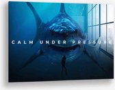 Wallfield™ - Calm Under Pressure | Glasschilderij | Muurdecoratie / Wanddecoratie | Gehard glas | 40 x 60 cm | Canvas Alternatief | Woonkamer / Slaapkamer Schilderij | Kleurrijk | Modern / Industrieel | Magnetisch Ophangsysteem