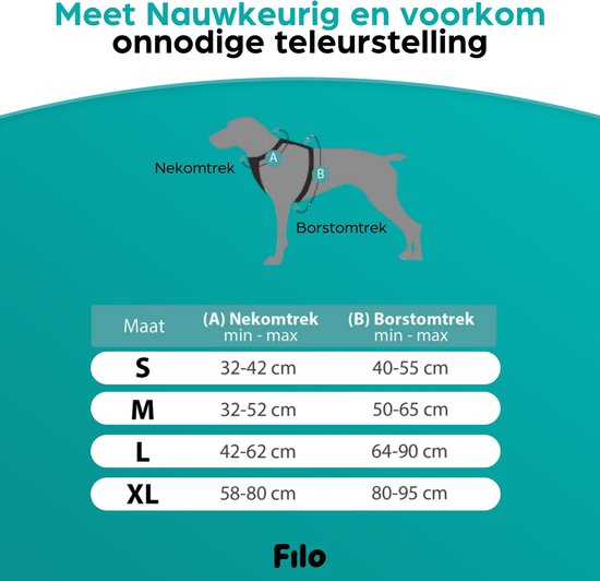 Filo Anti Trek Dog Harnais Taille S avec Laisse pour Chien - Harnais pour Chien avec Laisse pour Chien - Harnais pour Chien Petit Chien - Harnais pour Chien - Laisse - Harnais pour Chiens - Riem