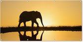 Wanddecoratie buiten Silhouet van een olifant bij zonsondergang - 160x80 cm - Tuindoek - Buitenposter