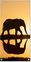 Tuinposter Silhouet van een olifant bij zonsondergang - 40x80 cm - Wanddecoratie Buiten - Tuinposter - Tuindoek - Schuttingposter - Tuinschilderij