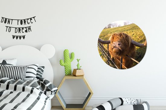 Wallpaper Circle - Highlander écossais - Clôture - Herbe - 50x50 cm - Wall Circle - Auto-adhésif - Sticker rond pour papier peint