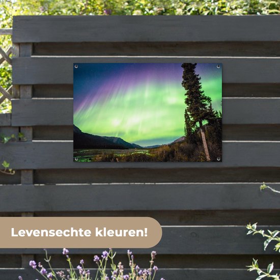 Posters de jardin Aurores Boréales - Arbre - Berg - Nature - 90x60 cm