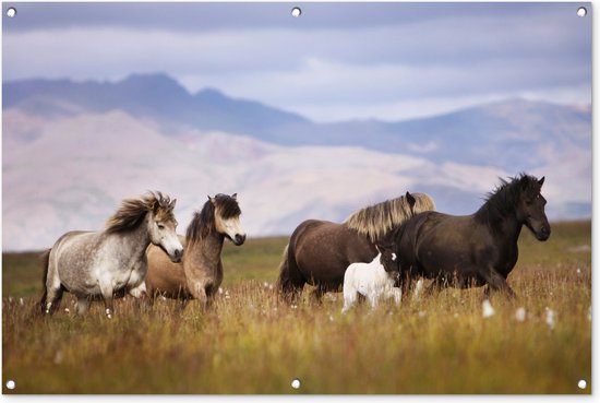 Tuinposter - Tuindoek - Tuinposters buiten - Paarden - Gras - Bergen - 120x80 cm - Tuin