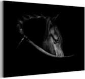 Wanddecoratie Metaal - Aluminium Schilderij Industrieel - Paarden - Portret - Zwart - Dieren - 60x40 cm - Dibond - Foto op aluminium - Industriële muurdecoratie - Voor de woonkamer/slaapkamer