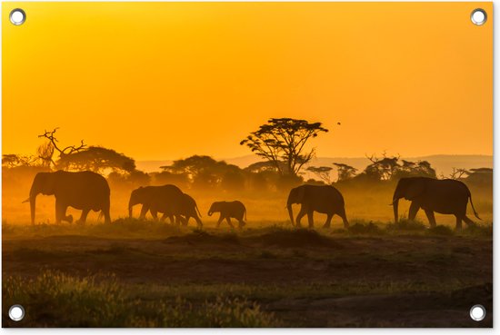 Tuindecoratie Kudde olifanten bij zonsopkomst - 60x40 cm - Tuinposter - Tuindoek - Buitenposter