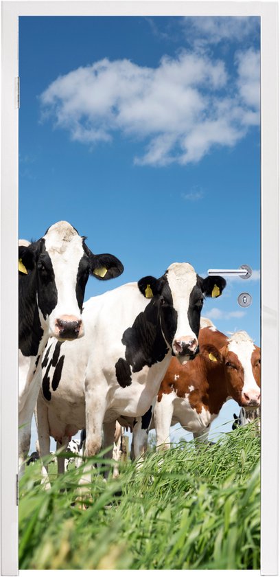 Sticker pour porte Vaches - Campagne - Pâturage - Nature - Animaux - 75x205 cm - Affiche de porte