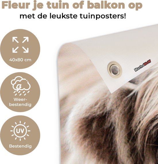 Poster de jardin Highlander écossais - Vache - Fourrure - 40x80 cm - Décoration murale Outdoor - Poster de jardin - Toile de jardin - Poster de clôture - Tableau de jardin