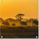Tuinposters Kudde olifanten bij zonsopkomst - 50x50 cm - Tuindoek - Buitenposter