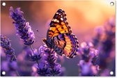 Tuinposter vlinder - Tuindecoratie lavendel paars - 60x40 cm - Bloemen poster voor in de tuin - Buiten decoratie vlinders - Schutting tuinschilderij - Tuindoek muurdecoratie - Wanddecoratie balkondoek