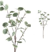 PTMD Leaves Plant Eucalyptus Kunsttak - 48 x 26 x 90 cm - Groen/Grijs