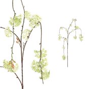 PTMD Twig Plant Skimmia Kunsttak - 68 x 28 x 133 cm - Wit