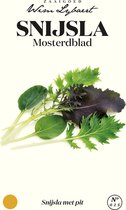 Snijsla Mosterdblad, pittig en pikant,mosterdsmaak - Zaaigoed Wim Lybaert