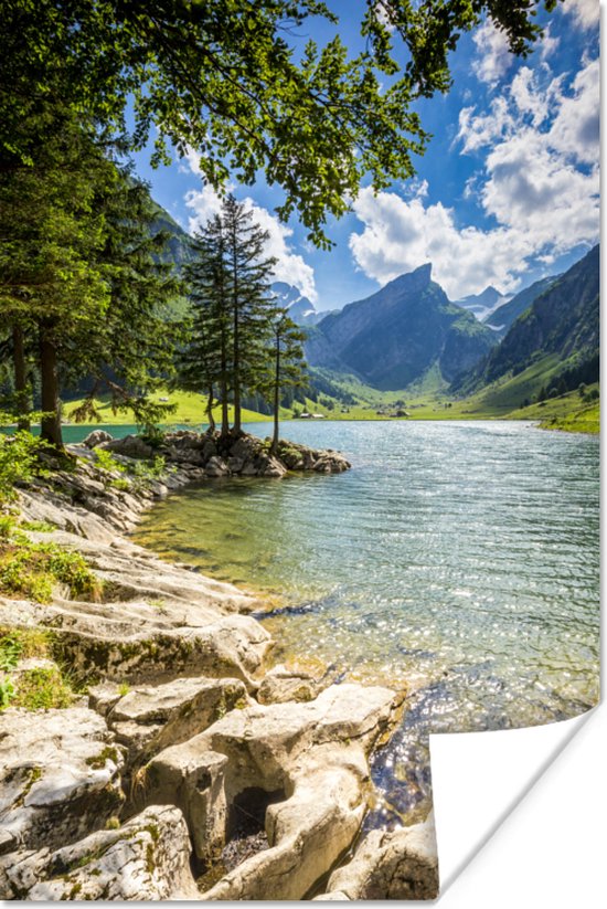 Poster Zomer in een Zwitsers landschap - 60x90 cm