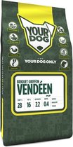 Yourdog Briquet griffon vendéen puppy 3 KG