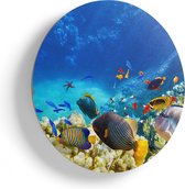 Artaza Houten Muurcirkel - Vissen in de Oceaan met Koralen - Ø 60 cm - Multiplex Wandcirkel - Rond Schilderij