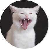 Muismat - Mousepad - Rond - Gapende witte kat - 40x40 cm - Ronde muismat
