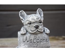 Franse Bulldog, Welcome