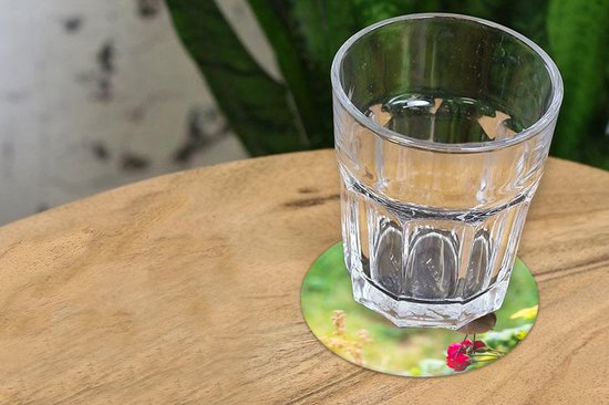 Sous- Sous-verres pour verres - Ronds - Robin - Rose - Rouge - 10x10 cm - 6 pièces