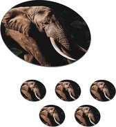 Sous- Sous-verres pour verres - Ronds - Éléphant - Animaux - Dents - 10x10 cm - Sous-verres en verre - 6 pièces