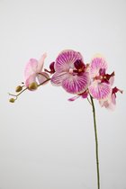 Kunstbloem - Orchidee - topkwaliteit decoratie - 2 stuks - zijden bloem - Paars - 91 cm hoog