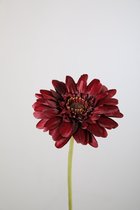Kunstbloem - Gerbera - topkwaliteit decoratie - 2 stuks - zijden bloem - Donkerrood - 55 cm hoog