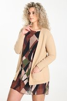 Cassis Dames Cardigan - Trui - Maat 40