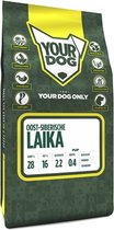 YD OOST-SIBERISCHE LAIKA PUP 3KG