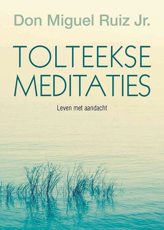 Cover van het boek 'Tolteekse meditaties'