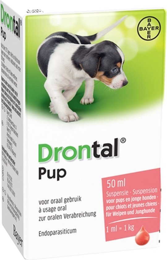 - DRONTAL PUP 50ML