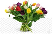 Verse bloemen boeket TULPEN (cadeau voor haar) - Meerdere kleuren - 30 per bos
