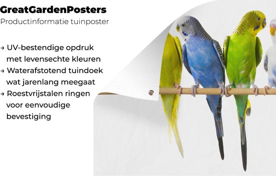 Tuinposter 120x80 cm - Tuindecoratie Groepje parkieten op een stokje - Poster voor in de tuin - Buiten decoratie - Schutting tuinschilderij - Tuindoek muurdecoratie - Wanddecoratie balkondoek