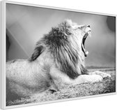 Yawning Lion