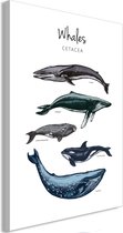 Schilderij - Whales (1 Part) Vertical.