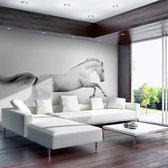 Fotobehangkoning - Behang - Vliesbehang - Fotobehang Wit Paard - 200 x 154 cm