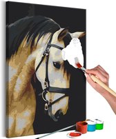 Doe-het-zelf op canvas schilderen - Horse Portrait.