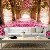 Fotobehang - Pink grove.