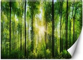 Trend24 - Behang - Zonnestralen In Een Groen Bos - Behangpapier - Fotobehang Natuur - Behang Woonkamer - 450x315 cm - Incl. behanglijm
