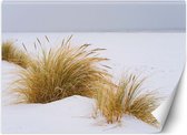 Trend24 - Behang - Duinen Op Gouden Zand - Vliesbehang - Fotobehang Natuur - Behang Woonkamer - 150x105 cm - Incl. behanglijm