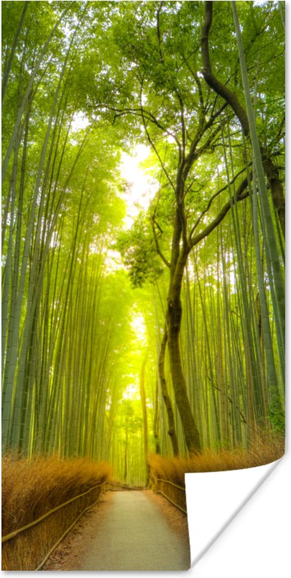 Poster Pad in het Arashiyama-bamboebos in Japan - 40x80 cm