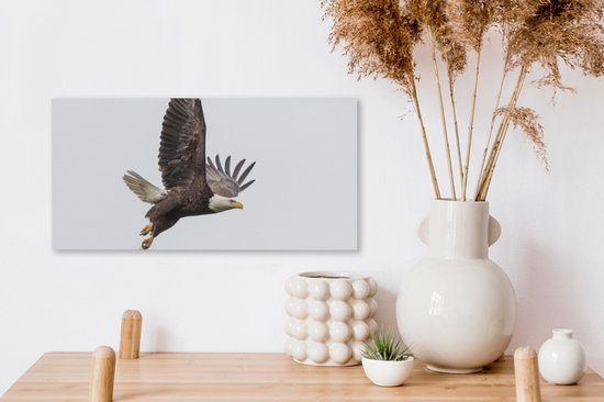Toile Peinture Aigle de Mer - Vogel - Amérique - 40x20 cm - Décoration murale