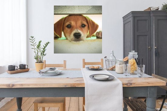 Poster Un chiot regarde à travers une clôture - 100x100 cm XXL