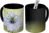 Magische Mok - Foto op Warmte Mok - Close-up van de bloeiende nigella - 350 ML