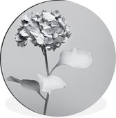 WallCircle - Wandcirkel - Muurcirkel - Zwart-wit hortensia - Aluminium - Dibond - ⌀ 120 cm - Binnen en Buiten XXL