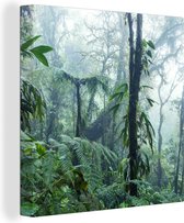 Canvas Schilderij Een mistig regenwoud in Costa Rica - 90x90 cm - Wanddecoratie