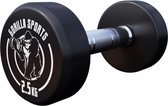Gorilla Sports Dumbbell - 2,5 kg - Halter - Vaste dumbell - Gietijzer