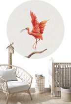 Behangcirkel Rode ibis | ⌀ 100 cm | Wandecoratie | Wandcirkel