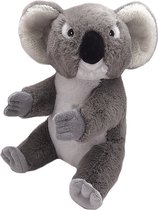 Wild Republic Ecokins: Koala - 20 cm pluche