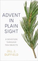 Advent in Plain Sight