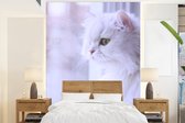 Behang - Fotobehang Witte Perzische kat kijkend door een raam - Breedte 165 cm x hoogte 220 cm